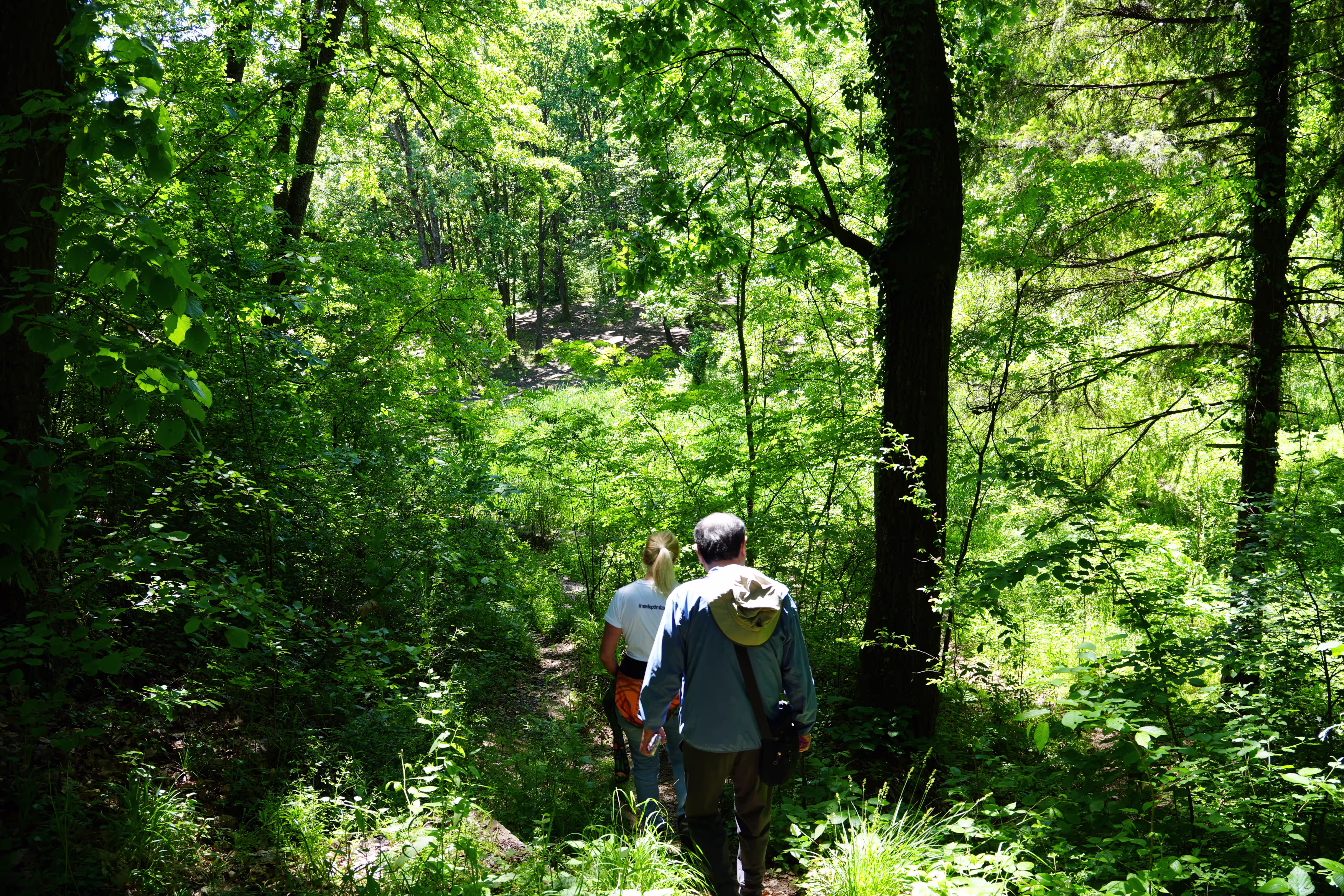 Suspecious hiker 1
