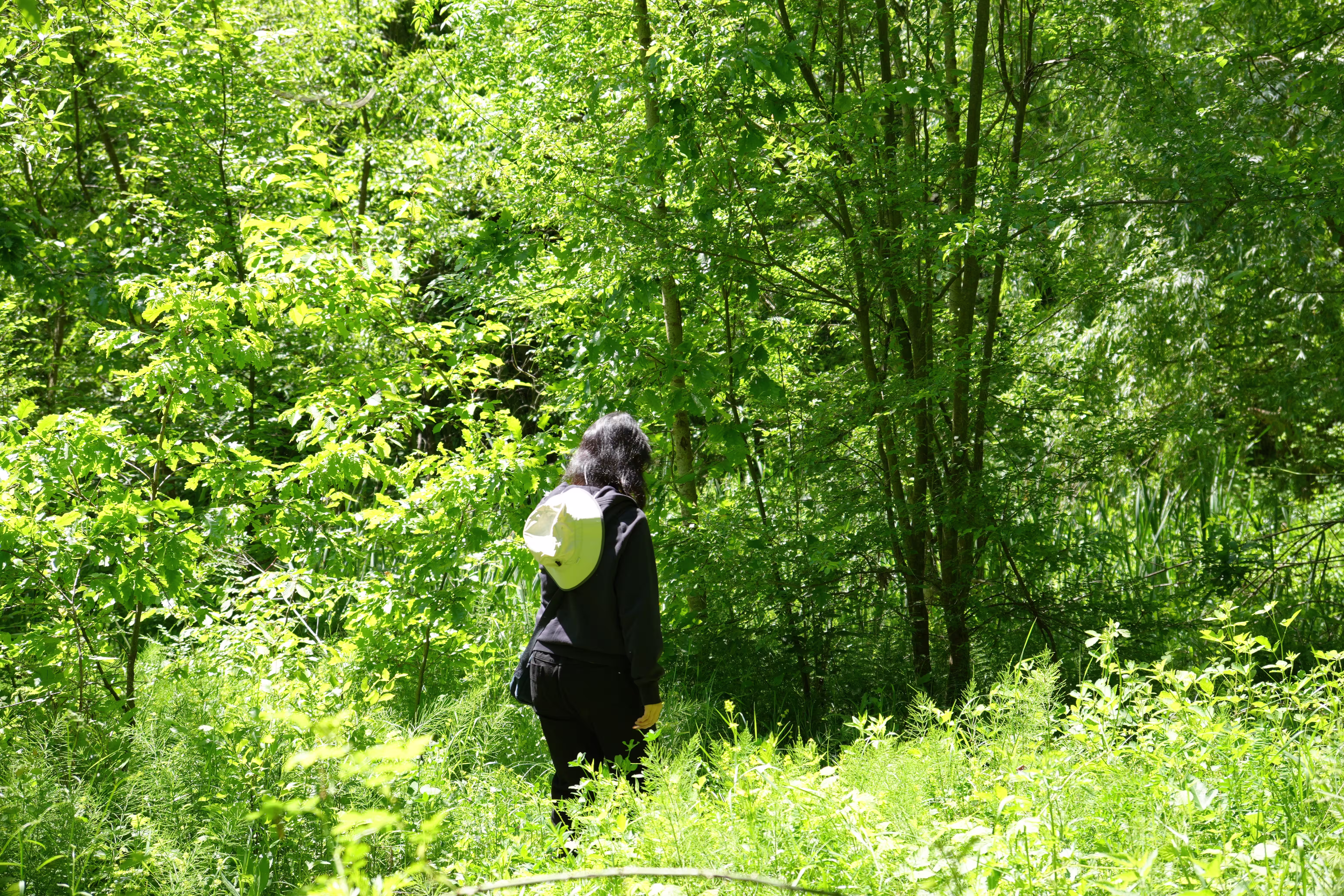 Suspecious hiker 2